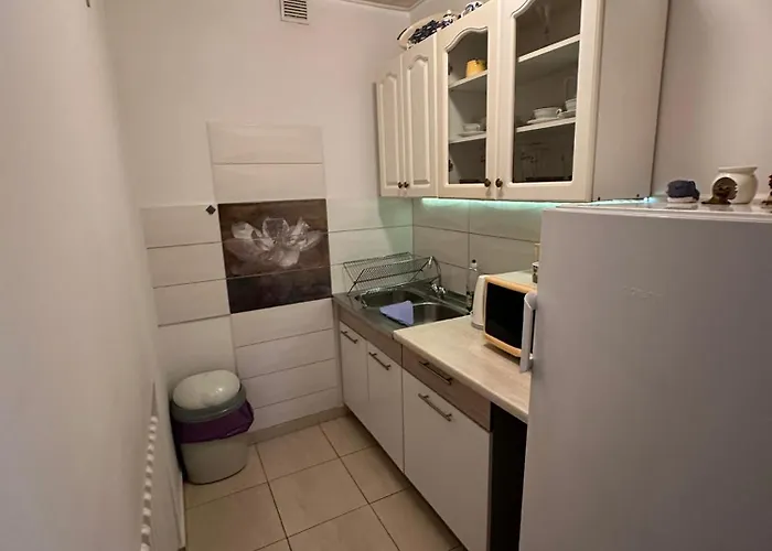 住宿加早餐酒店 Goscinne U Babci 扎科帕内