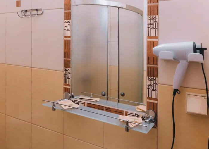 Goscinne U Babci 住宿加早餐酒店